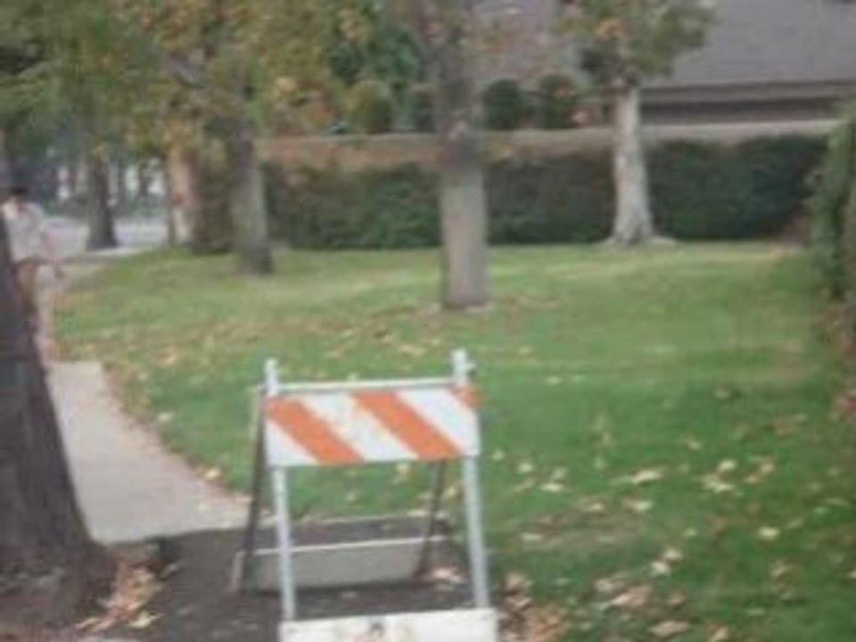 CARBON BASED LIFE FORMS