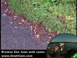 Five anti-litter campaigns that help to keep San Juans clean