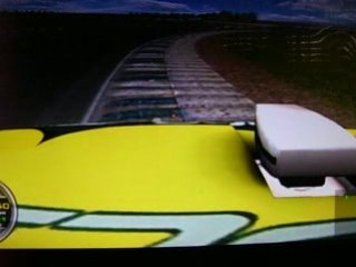 URELITO EN MAR DE AJO LA VUELTA RAPIDA