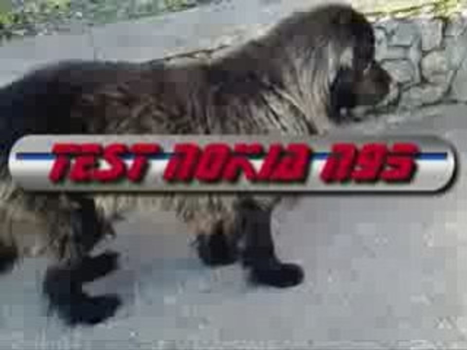 Test video du Nokia N95