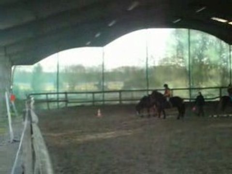 Poney s'improvise une liberté