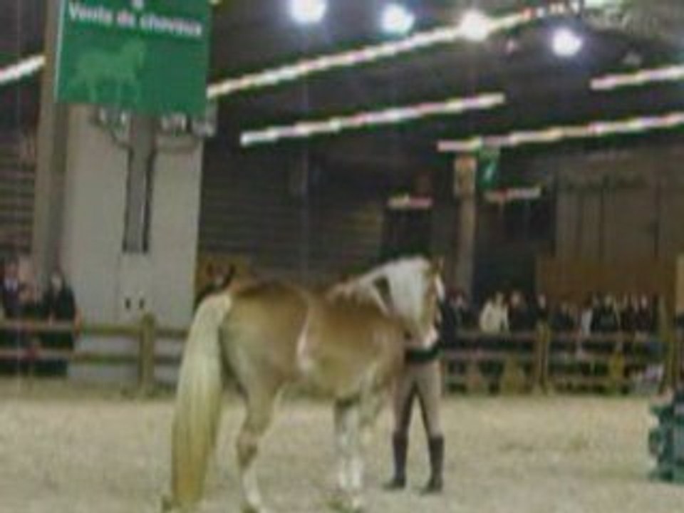Pauline et Naiade (5.2) salon du cheval 2008