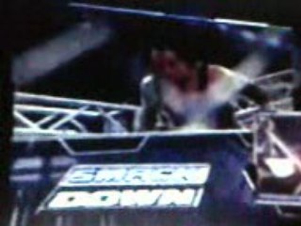 Big show vs undertaker treel cage