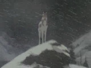 Feindflug - Standgericht AMV