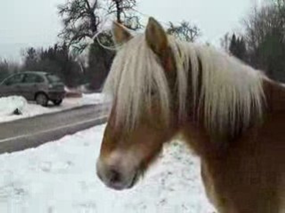 Photo 016