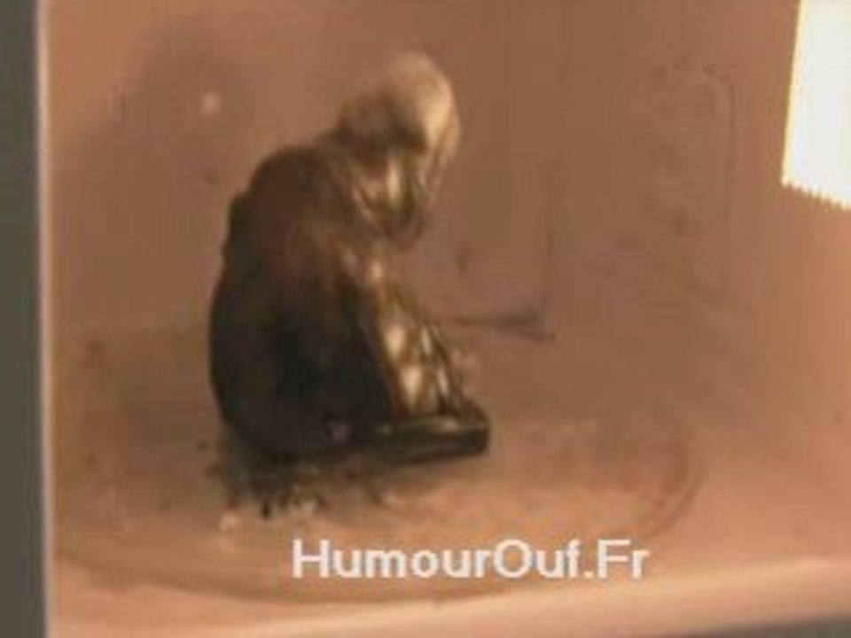 téléphone portable dans un four micro-onde