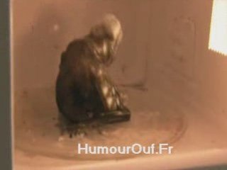 téléphone portable dans un four micro-onde