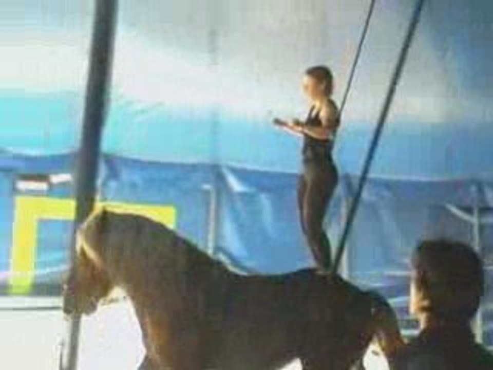 Voltige jockey et acrobatie au sol février 2007