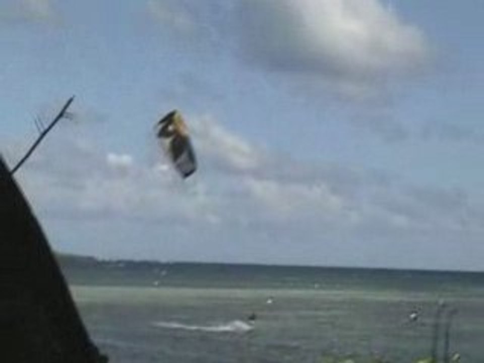 Martikite230