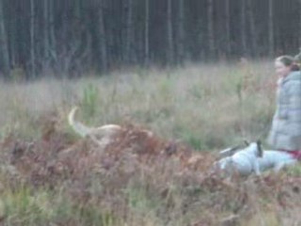 DSCF0064