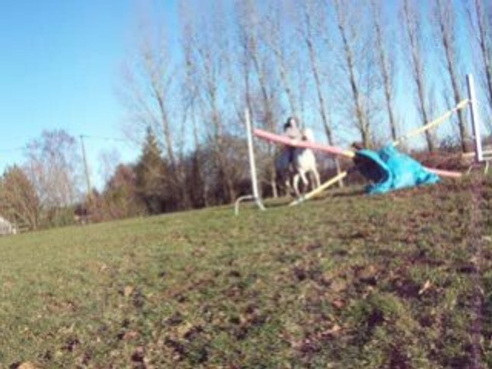 Liberté obstacle