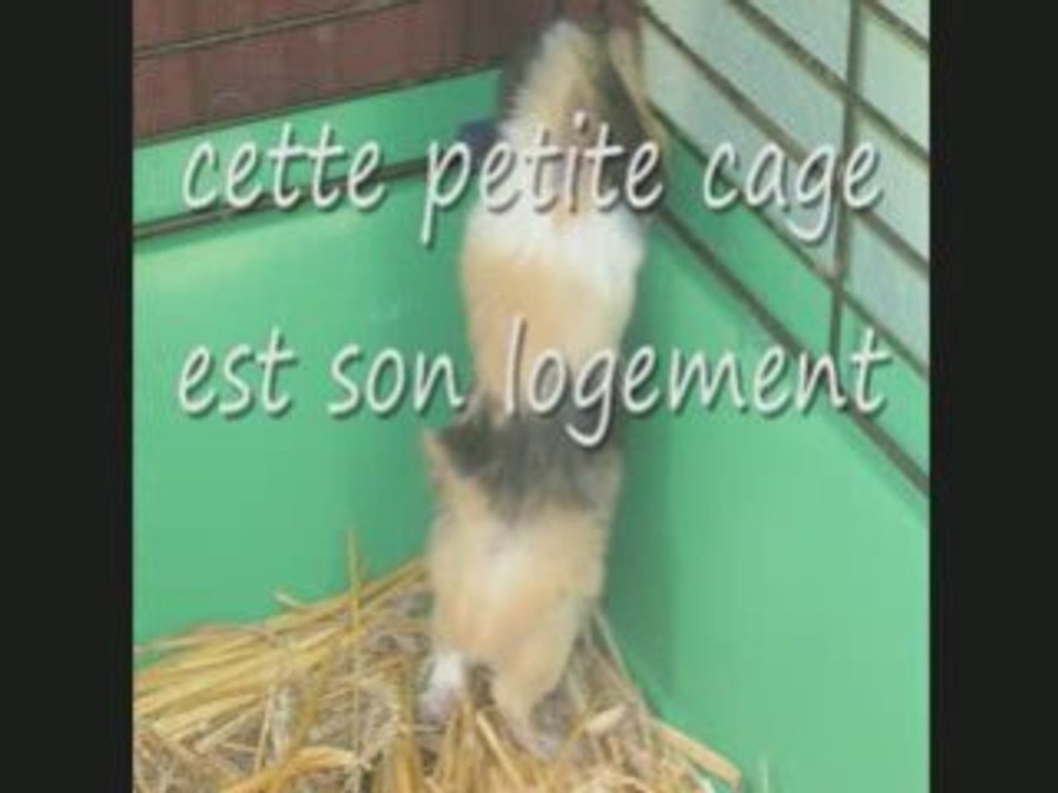 Divin enfant