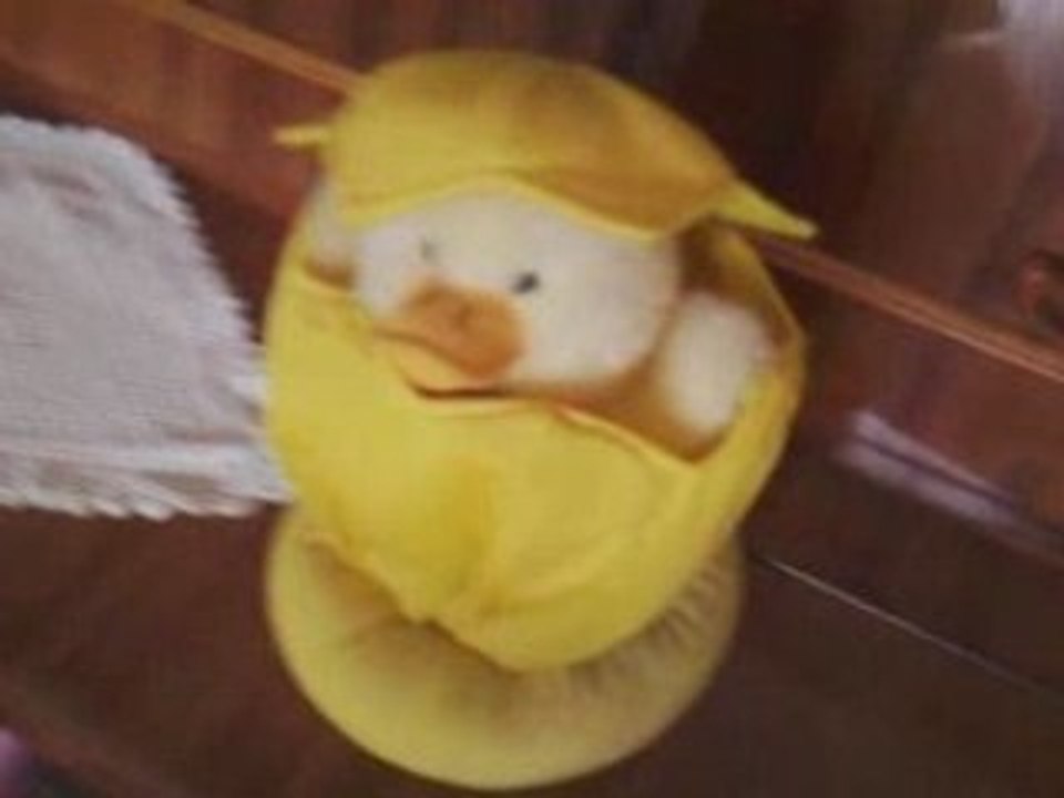 The Duck!