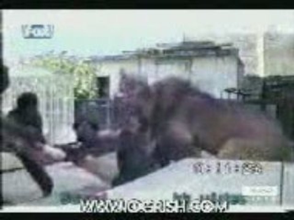 Video DJ anfas i larbi tranquille