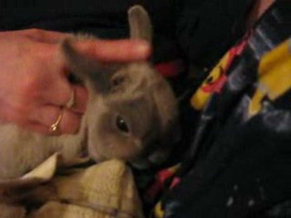 Noël 2008 014