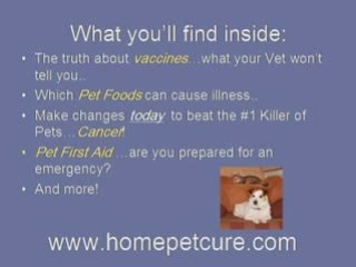 Healing your Pets at Home