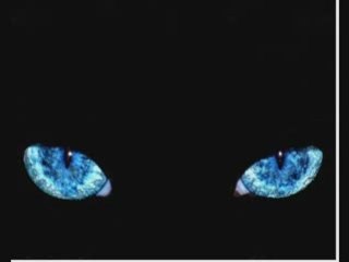 Sweet R&B Vibes 🎶