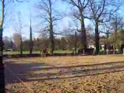 rotary galop carrière