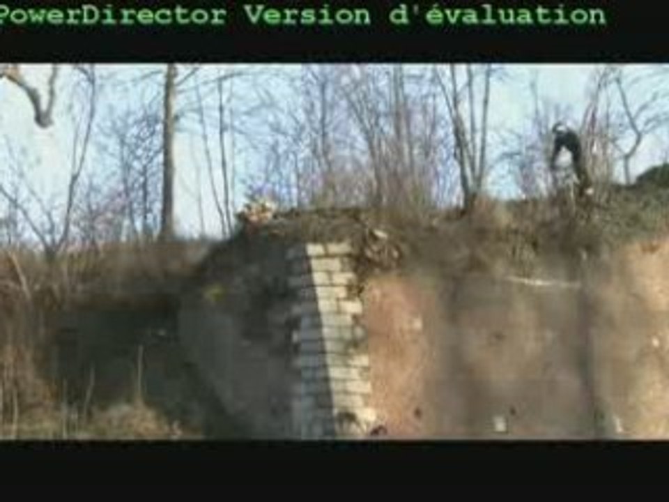 drop au bois