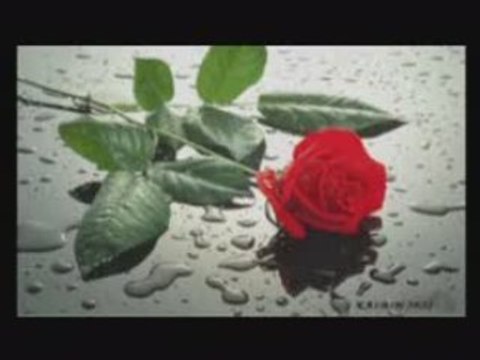 Deniz Seki Hüsnü Şenlendirici Adaletsiz Seçim lisem.net