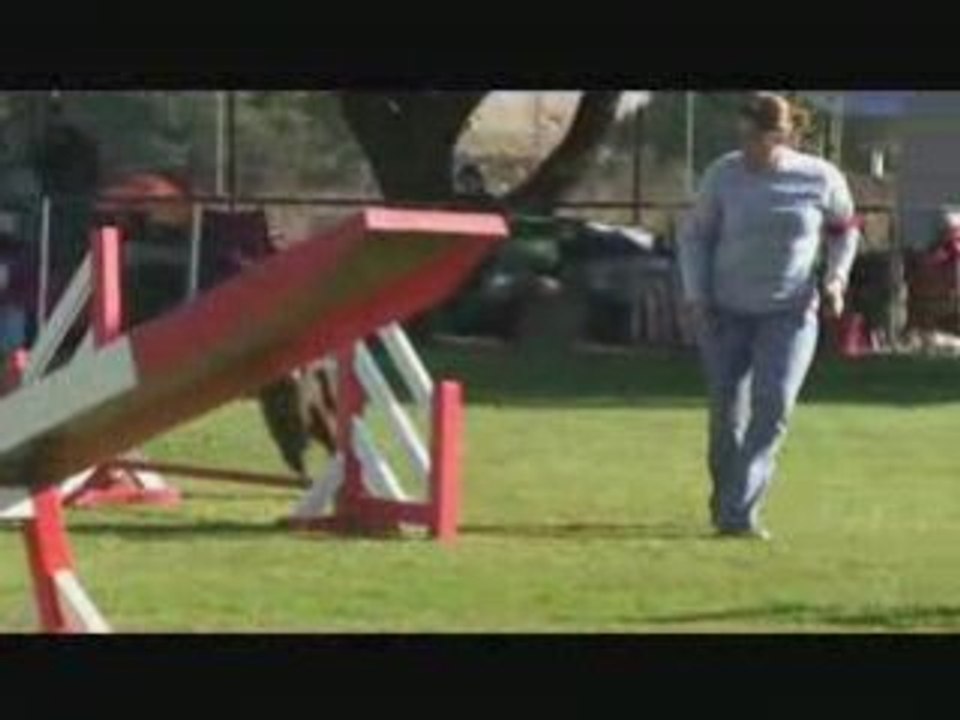 Montage looping saison agility 2008