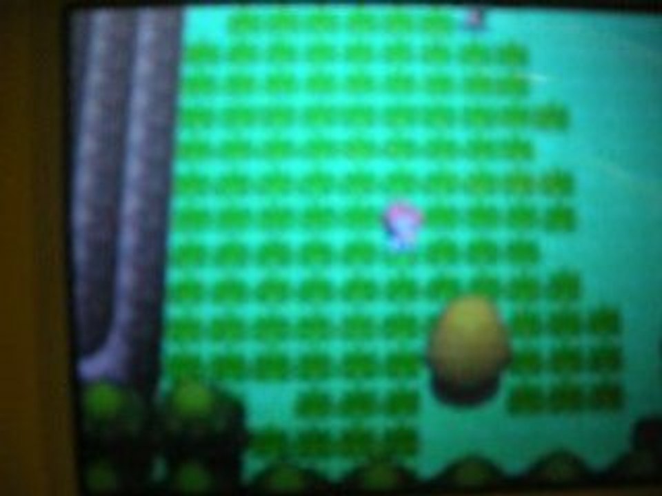 Insalourdo shiney