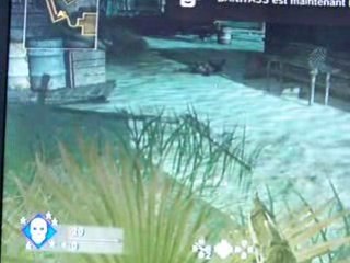 Cod5 Bug Glitche Makkin