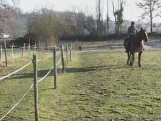 Lazzy décembre 2008
