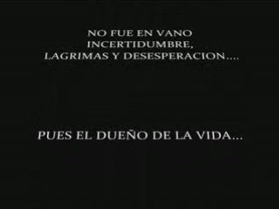 FELIZ  AÑO 2009, EL MEJOR!