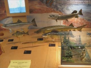 Vidéo des photos de nos clients  année 2008