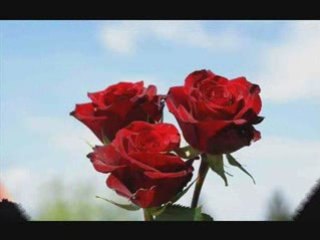 Heartaches-Will Osborne Orch