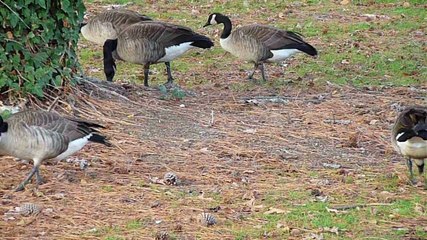 How to make a million dollars