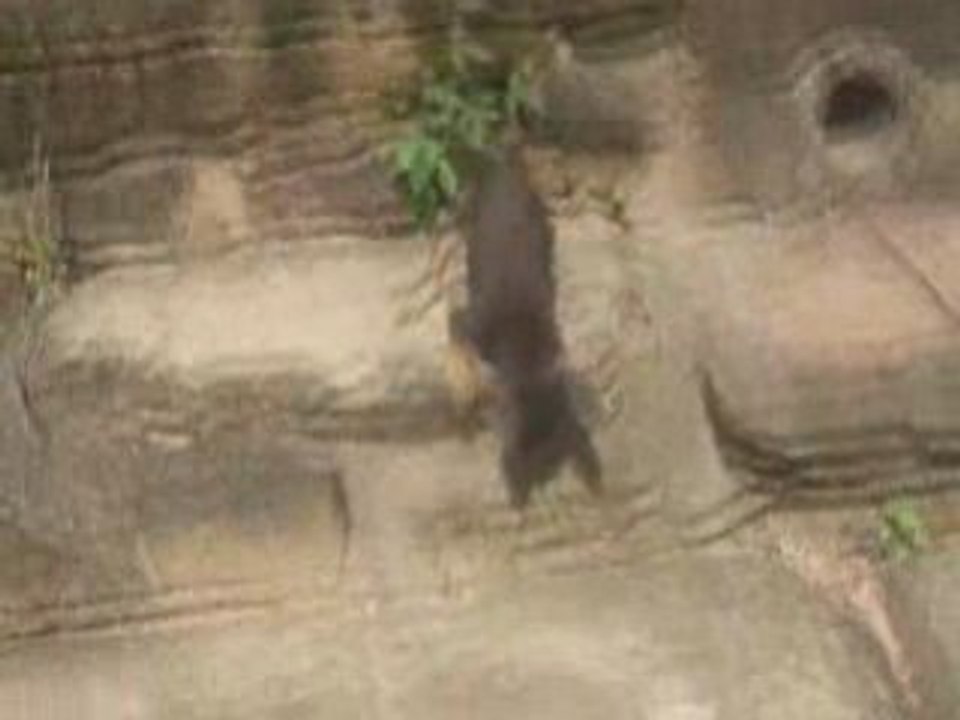 Cambodge (9/10) rencontre avec des jeunes cambodgiens