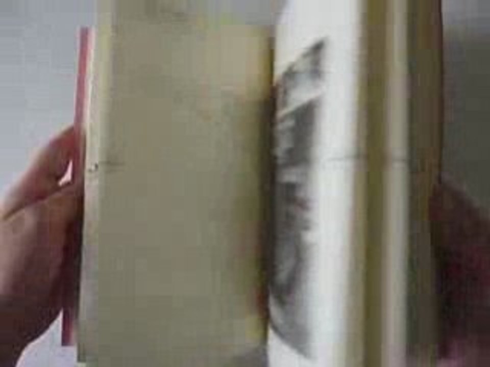 Video_pinxit
