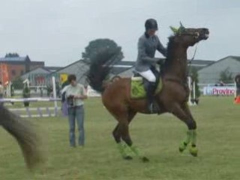 Mon cheval au quotidien =)