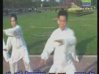 exercices tai chi qi gong  17 18