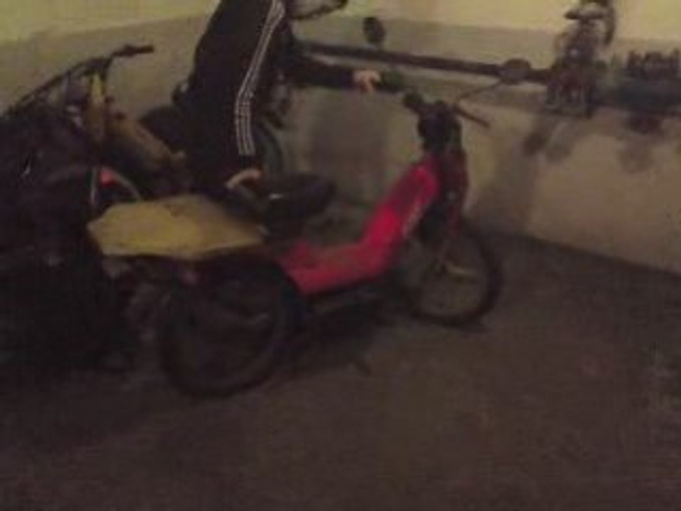 Fox Polini Evo