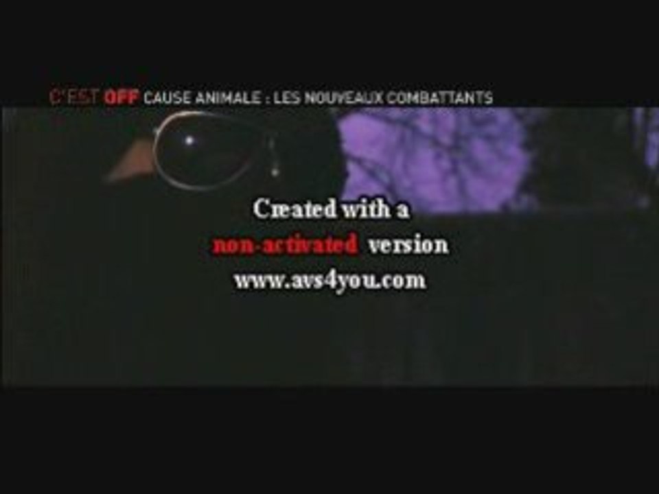 Partie 1- c'est off