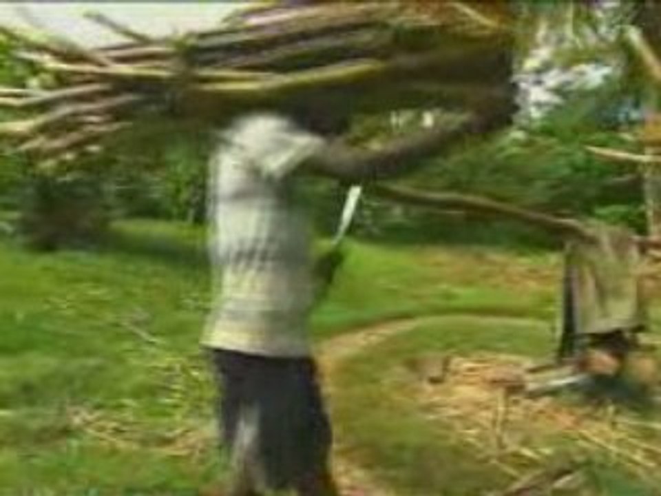 Madagascar - Tamatave - Mananara Nord 02