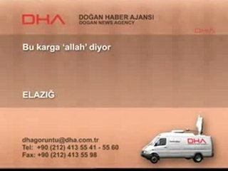 un oiseaux soubhan allah il prenance (allah-allah)