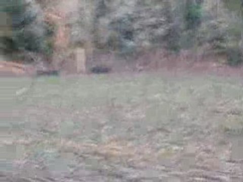 Beignet séance d'obstacle 28 décembre 2008