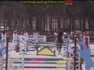 *L'air du paradis souffle entre les oreilles d'un cheval*