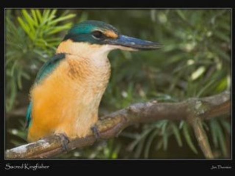 ENRICO MACIAS MELISA