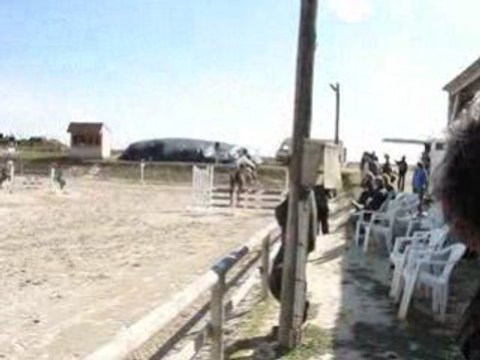 Concours officiel du 21/09 avec Kaline d'Esnes