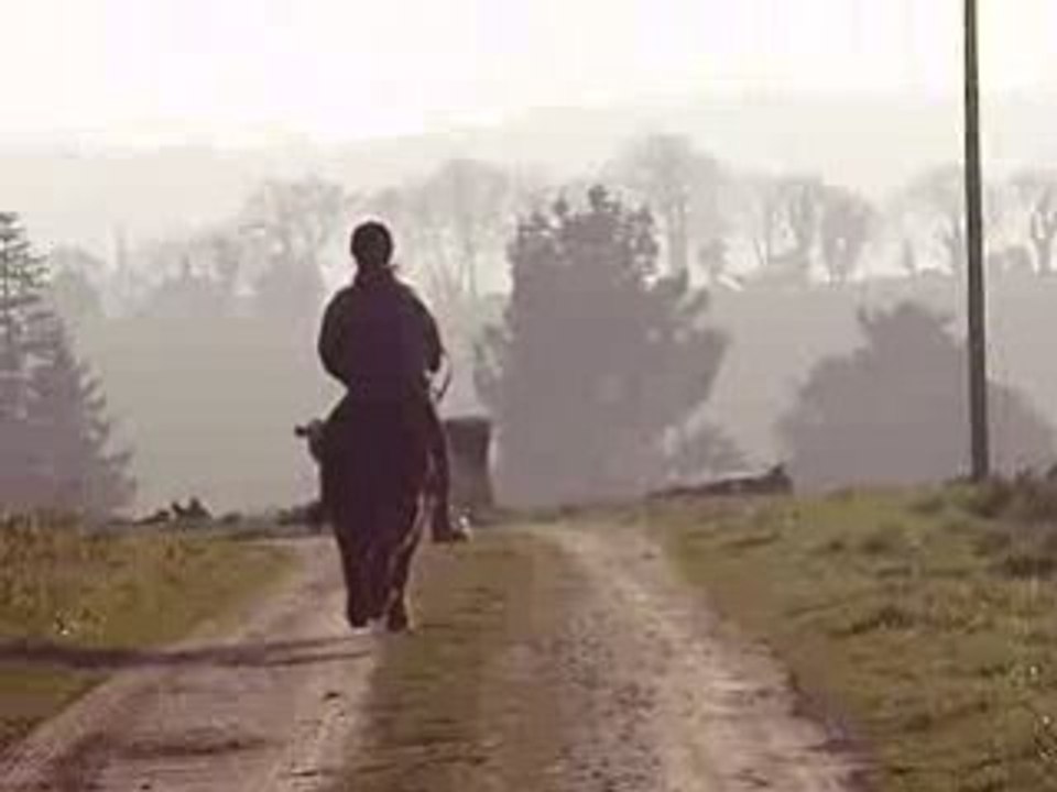 Balade dimanche mo' joyce' moi' poy' (lll)