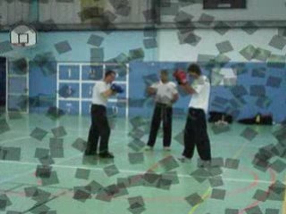 STAGE KRAV MAGA 2008