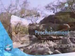 Prochainement Tamazirt Targa N'Touchka III
