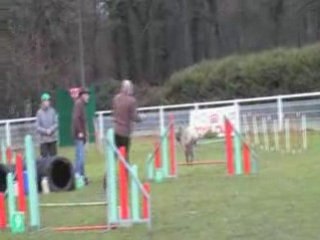 Bacara téléthon chantilly 2008