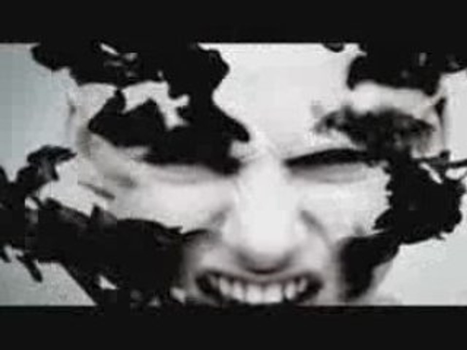 [PV] the GazettE - LEECH