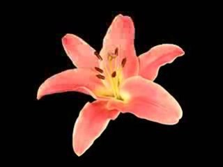 ouverture en si fa sol ! six notes